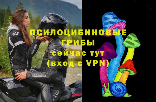марки nbome Бородино