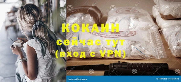 хмурый Мегион