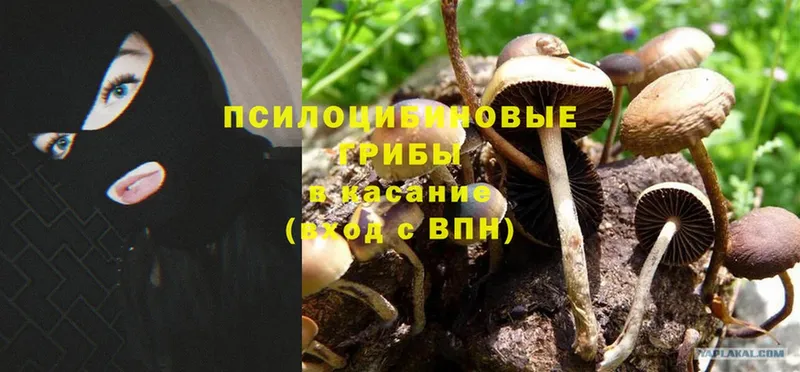 Галлюциногенные грибы MAGIC MUSHROOMS  Верхоянск 